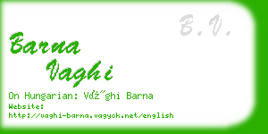 barna vaghi business card